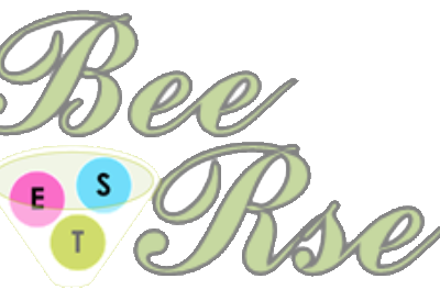 BEE RSE (Cameroun)